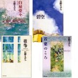 白昼堂々series全4巻