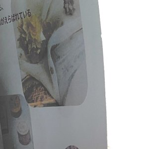 画像3: ★「少年電氣食堂2025 秋麗」セット
