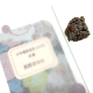 画像1: ★「少年電氣食堂2025 秋麗」セット