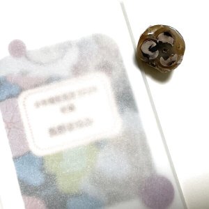 画像1: ★「少年電氣食堂2025 秋麗」セット