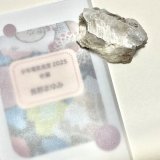 ★「少年電氣食堂2025 秋麗」セット