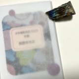 ★「少年電氣食堂2025 秋麗」セット