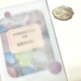 ★「少年電氣食堂2025 秋麗」セット