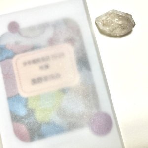 画像1: ★「少年電氣食堂2025 秋麗」セット
