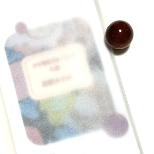 画像1: ★「少年電氣食堂2025 秋麗」セット