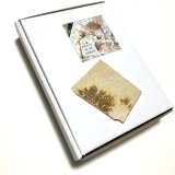 ★「少年電氣食堂2023 秋」標本セット