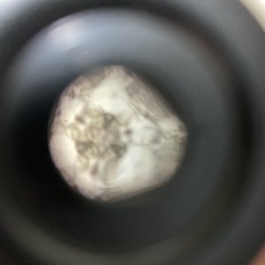 画像5: 長野まゆみ新作★「函ノ森文庫通信」セット