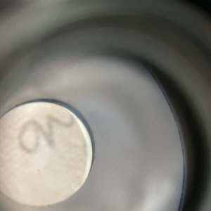 画像6: 長野まゆみ新作★「函ノ森文庫通信」セット