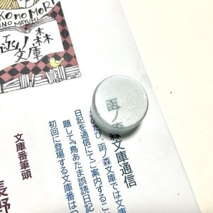 画像5: 長野まゆみ新作★「函ノ森文庫通信」セット