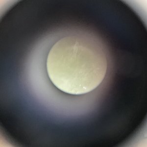 画像7: 長野まゆみ新作★「函ノ森文庫通信」セット