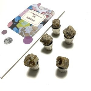 画像2: ★「少年電氣食堂2025 秋麗」セット