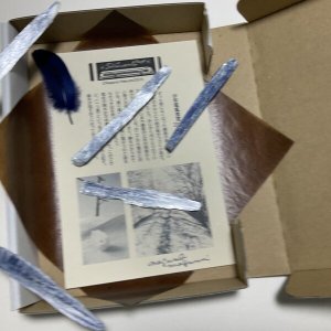 画像3: ★「少年電氣食堂2023 秋」標本セット