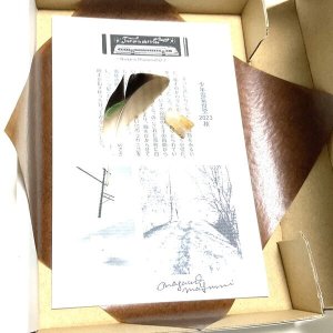 画像3: ★「少年電氣食堂2023 秋」標本セット