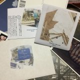 《函ノ森文庫》（新番号付）セット