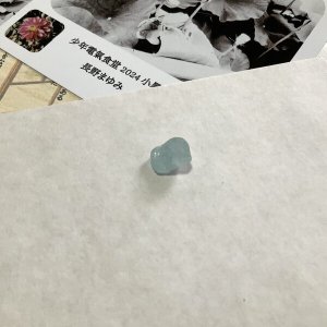 画像2: ★少年電氣食堂 2024 小暑set