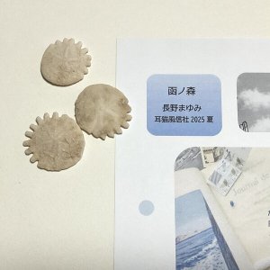 画像1: ★「函ノ森　夏」標本セット