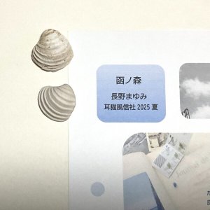 画像2: ★「函ノ森　夏」標本セット