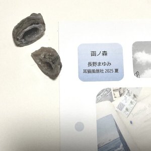 画像1: ★「函ノ森　夏」標本セット