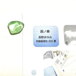 画像1: ★「函ノ森　夏」標本セット