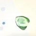 画像3: ★「函ノ森　夏」標本セット (3)