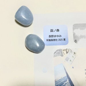 画像1: ★「函ノ森　夏」標本セット