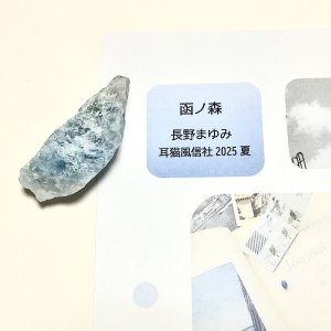 画像1: ★「函ノ森　夏」標本セット