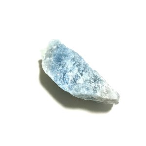 画像4: ★「函ノ森　夏」標本セット