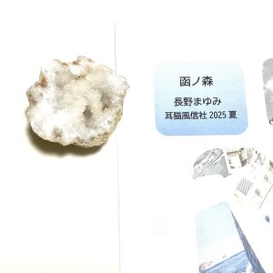 画像1: ★「函ノ森　夏」標本セット