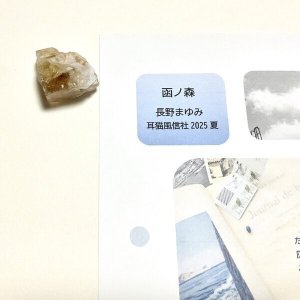 画像1: ★「函ノ森　夏」標本セット