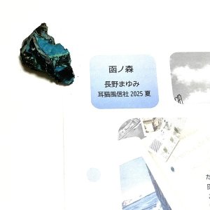 画像1: ★「函ノ森　夏」標本セット