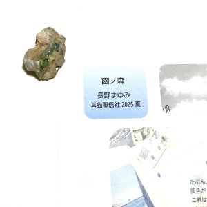 画像1: ★「函ノ森　夏」標本セット