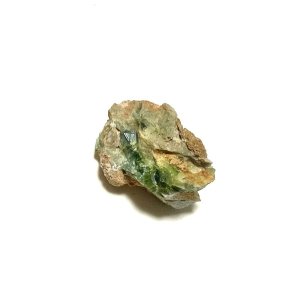 画像3: ★「函ノ森　夏」標本セット