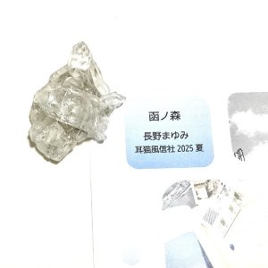 画像1: ★「函ノ森　夏」標本セット
