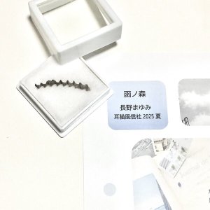 画像1: ★「函ノ森　夏」標本セット