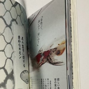 画像3: ★函ノ森文庫セット