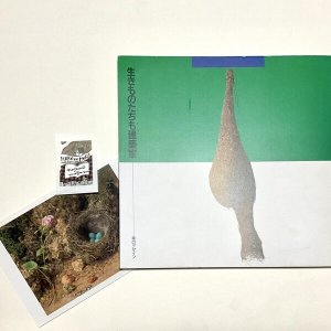 画像1: ★函ノ森文庫セット