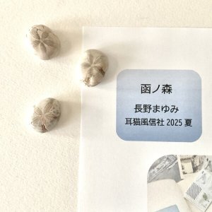 画像1: ★「函ノ森　夏」標本セット