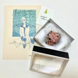 長野まゆみイラストカード（少年）＆鉱石標本