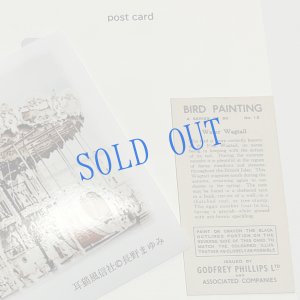 画像4: ★寒中おみまい・小鳥カード