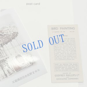 画像4: ★寒中おみまい・小鳥カード