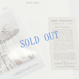 画像4: ★寒中おみまい・小鳥カード