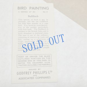 画像3: ★KOROMOGAE篇二ホンライチョウ