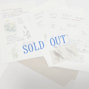 画像1: ★KOROMOGAE篇二ホンライチョウ