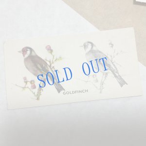 画像3: ★KOROMOGAE篇二ホンライチョウ