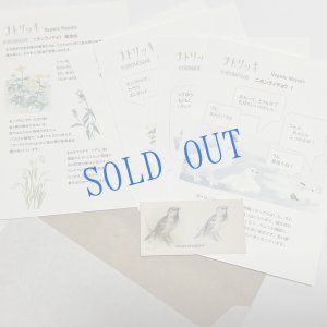 画像1: ★KOROMOGAE篇二ホンライチョウ