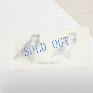 画像3: ★KOROMOGAE篇二ホンライチョウ