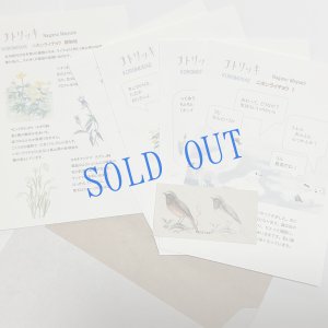 画像1: ★KOROMOGAE篇二ホンライチョウ