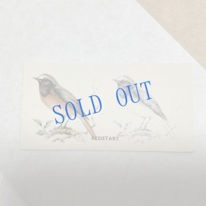 画像3: ★KOROMOGAE篇二ホンライチョウ