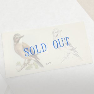 画像3: ★KOROMOGAE篇二ホンライチョウ