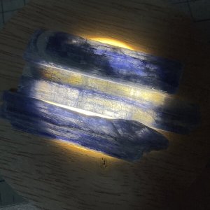 画像3: ★寒中おみまい標本セット